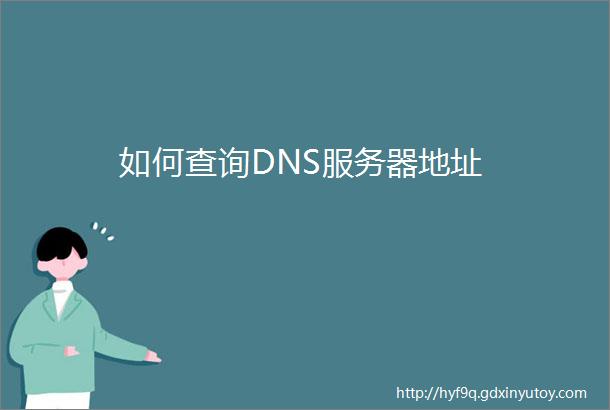 如何查询DNS服务器地址